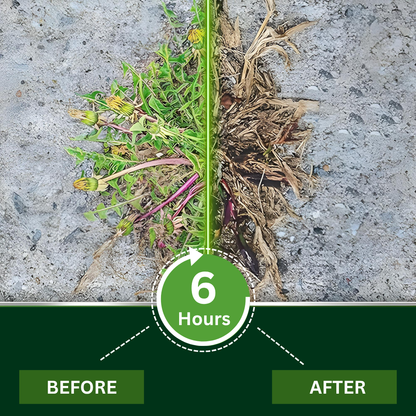 Official Store:AEXZR® 2 in 1 Max Power Herbicide - 6-Hour Action – No more waiting