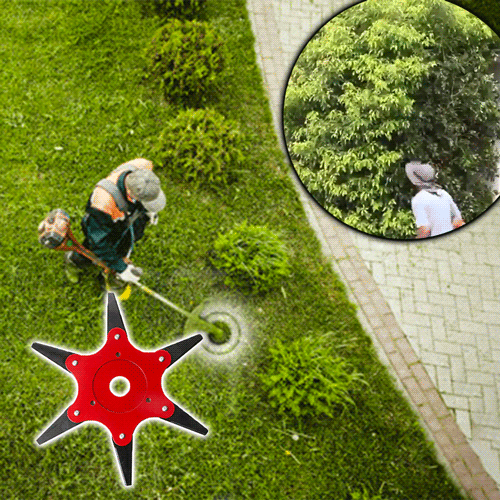 AEXZR®6 Steel Razors Trimmer Head