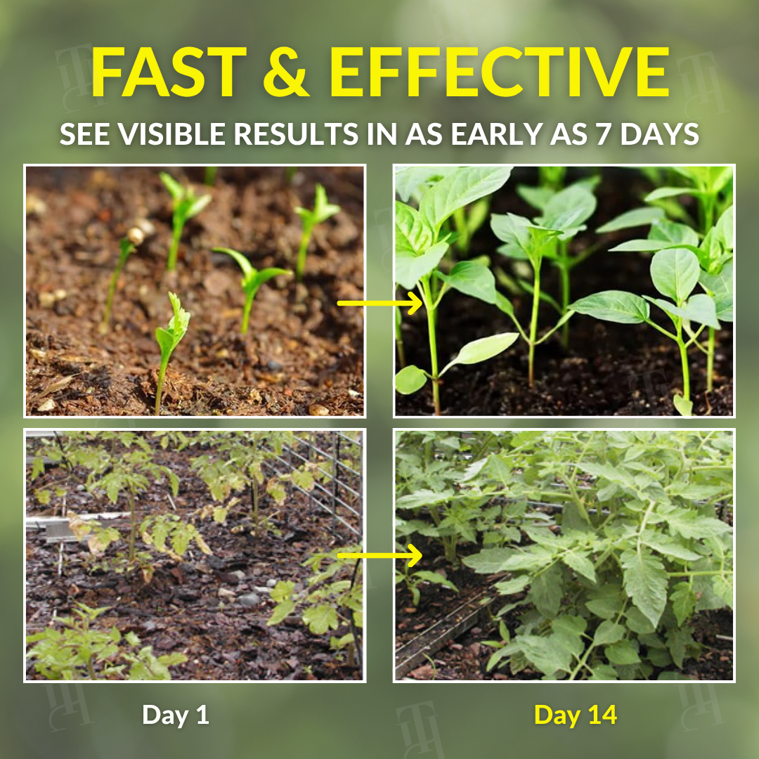 🔥 BLACK FRIDAY: 40% OFF | AEXZR® 2 in 1 Vita-Enzyme Solution