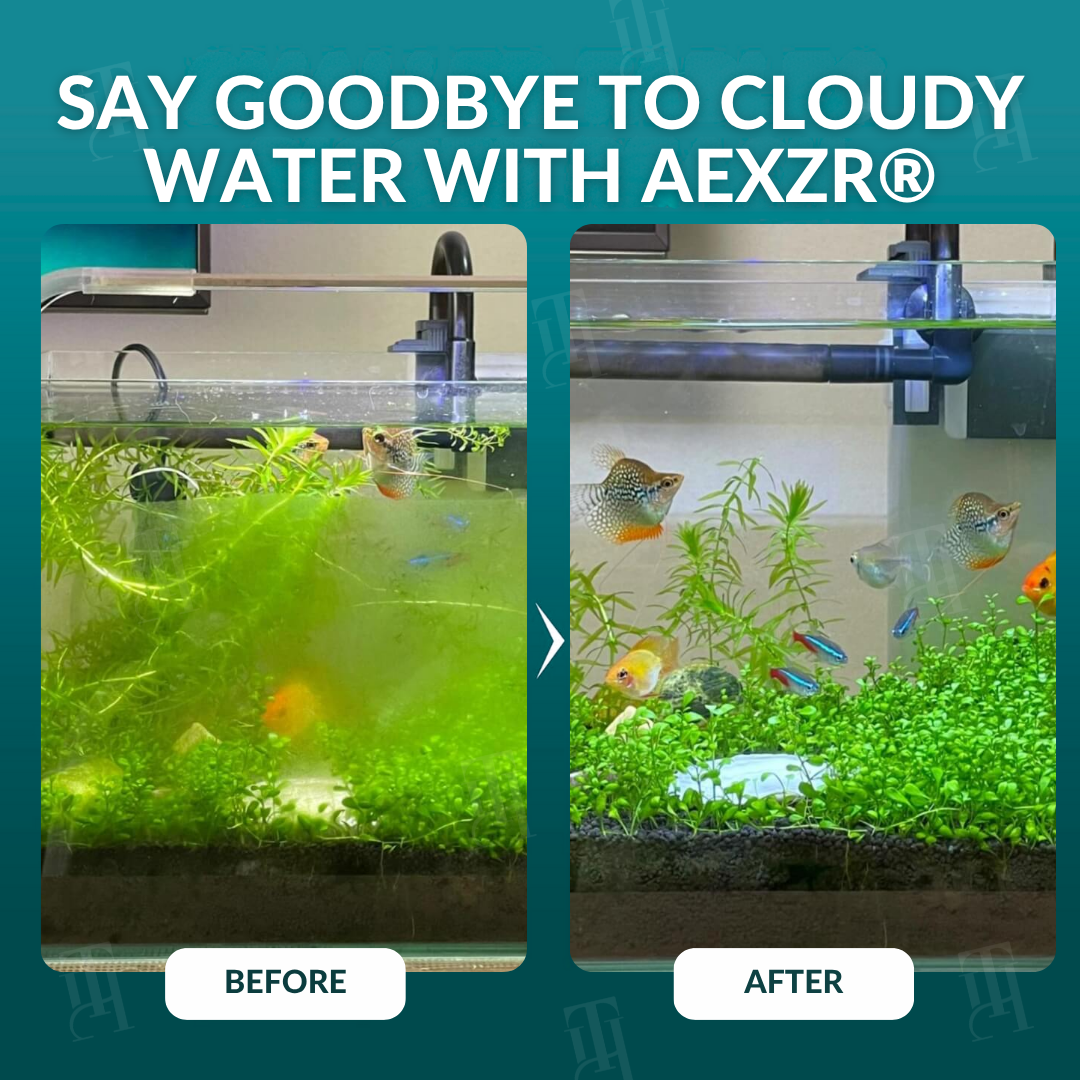 💧 72-Hour Rapid Water Purification | AEXZR® Aquariums Aqua-Guardian Blend