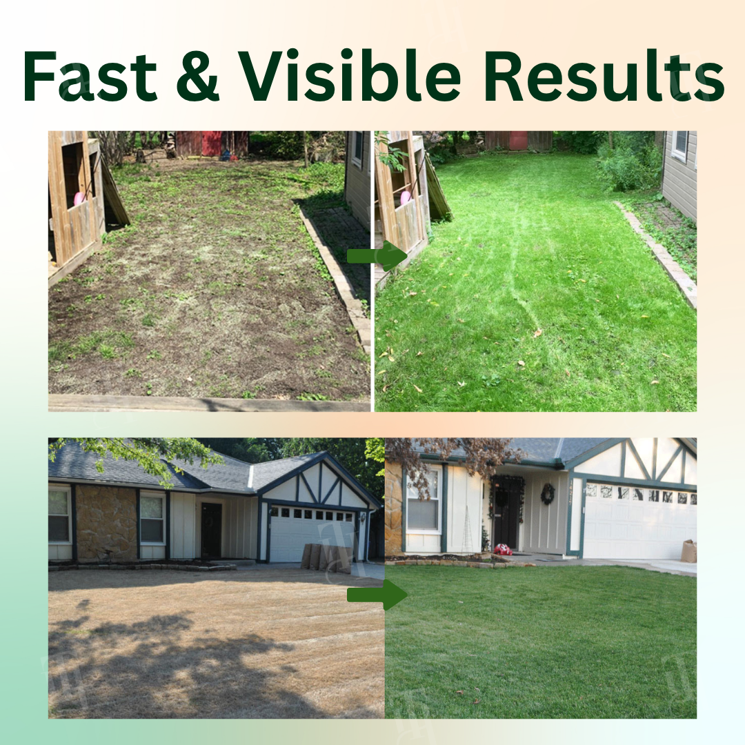 Official Store:AEXZR® 2 in 1 Max Power Herbicide - 6-Hour Action – No more waiting